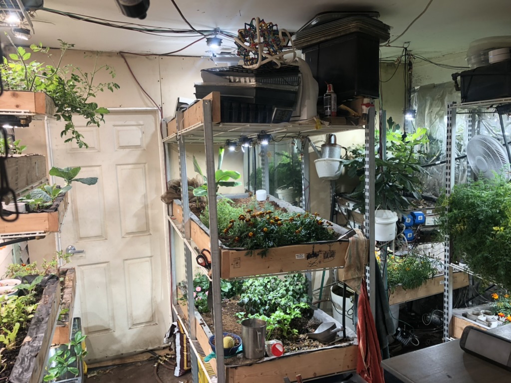 Hydroponic Setup 6