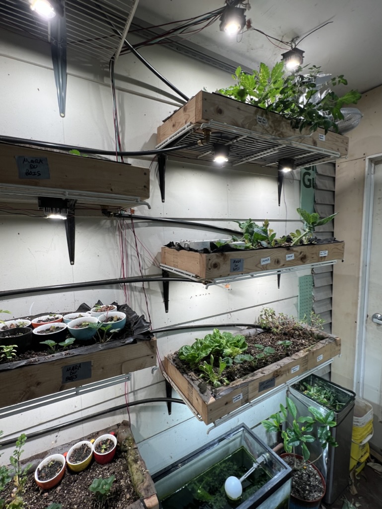 Hydroponic System