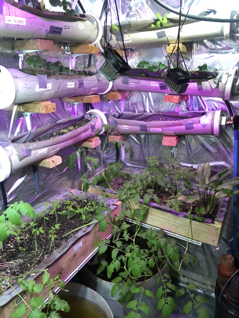 Advanced Hydroponic System