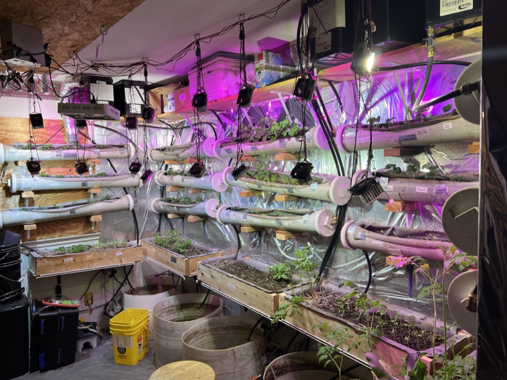 Hydroponic Setup 1